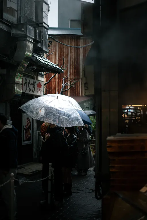 雨
